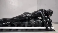 Reflective Desire - Board stiff - Vespa, Heavy