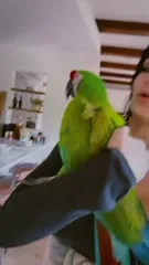 WWE's Paige / Saraya Bevis - Video #374768