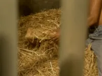 Briana Banks - Sex Spell