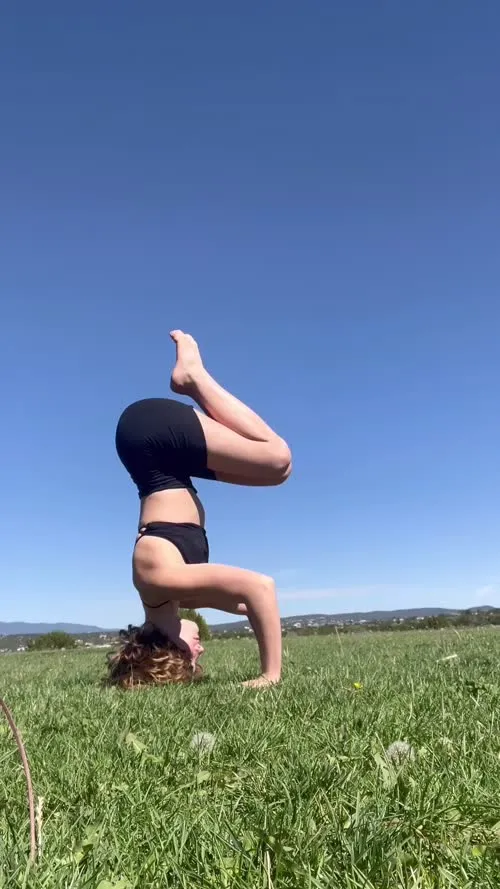 Willow shields - Video