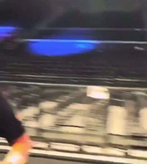 WWE Bayley / Davina Rose / Pamela Rose Martinez - Video #375612