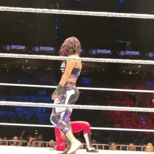 WWE Bayley / Davina Rose / Pamela Rose Martinez - Video #380410