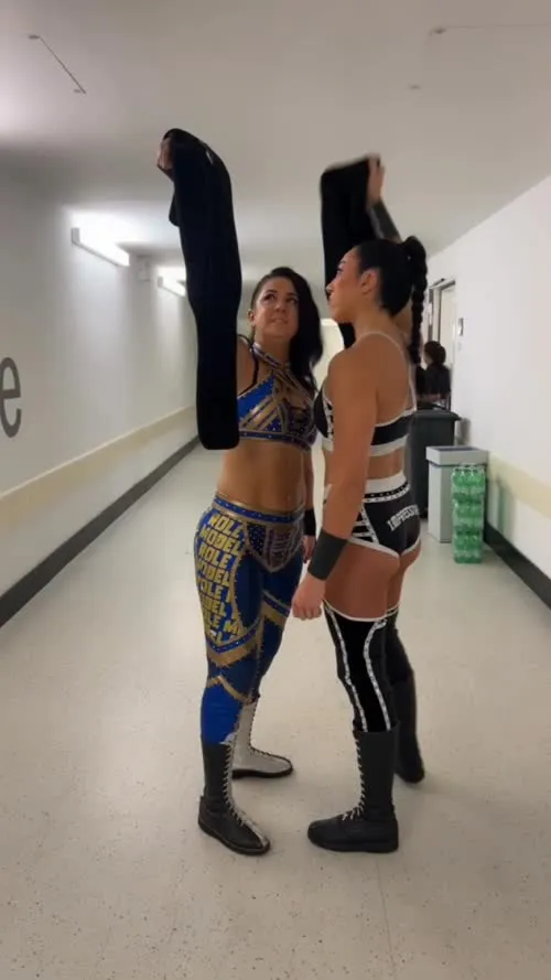 WWE Bayley / Davina Rose / Pamela Rose Martinez - Video #384941