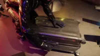 Reflective Desire - Checked baggage