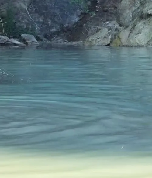 Clara Galle - Video