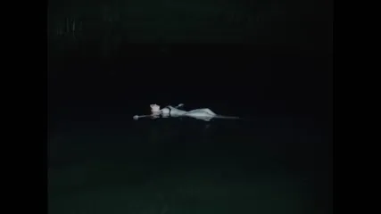 Noah Cyrus - Video