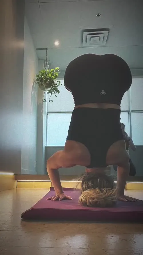WWE Trish Stratus - Video