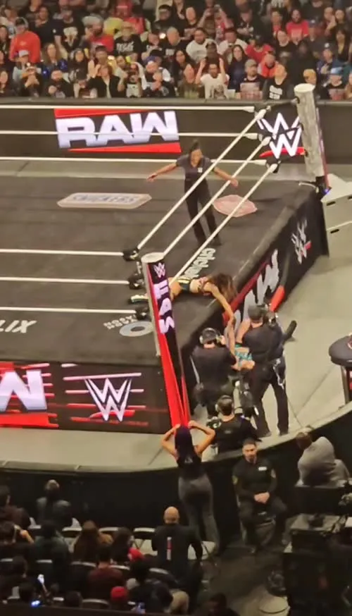 WWE Bayley / Davina Rose / Pamela Rose Martinez - Video #403900