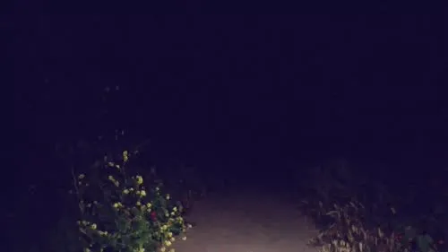 Marisha Ray - Video #158894