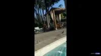 Dana DeArmond - Dana & Paige Hotel Pool Flash