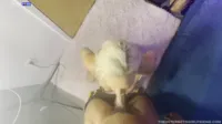Dana DeArmond - First Time with Mazee The Goat