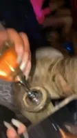 Cardi B - Video
