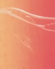 Kylie Jenner - Video