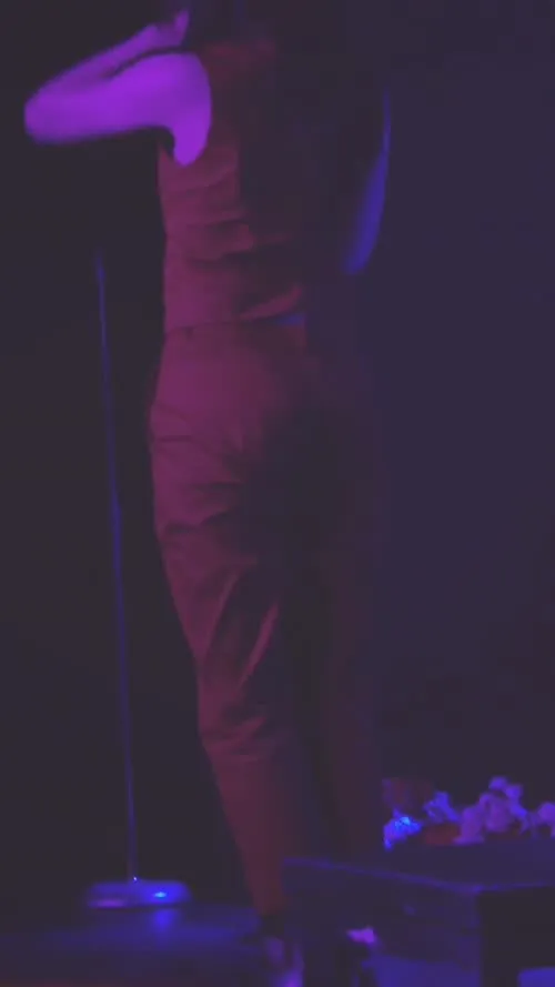 Lauren Mayberry (Singer) - Video