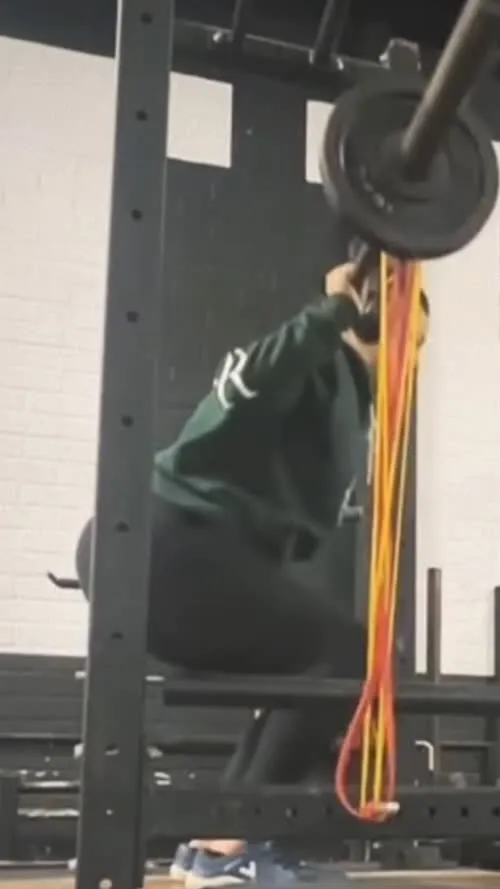 WWE Bayley / Davina Rose / Pamela Rose Martinez - Video #395478