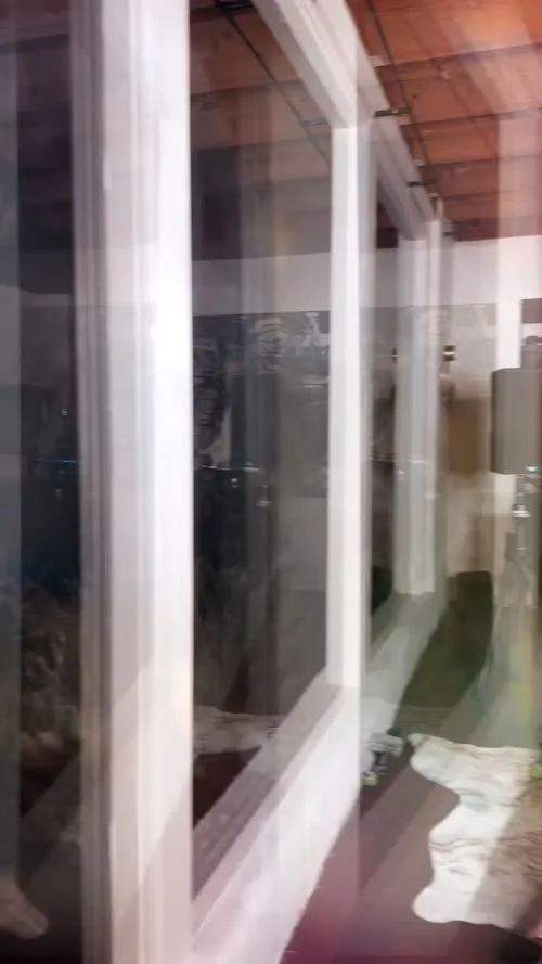 Michelle Monaghan - Video #173206