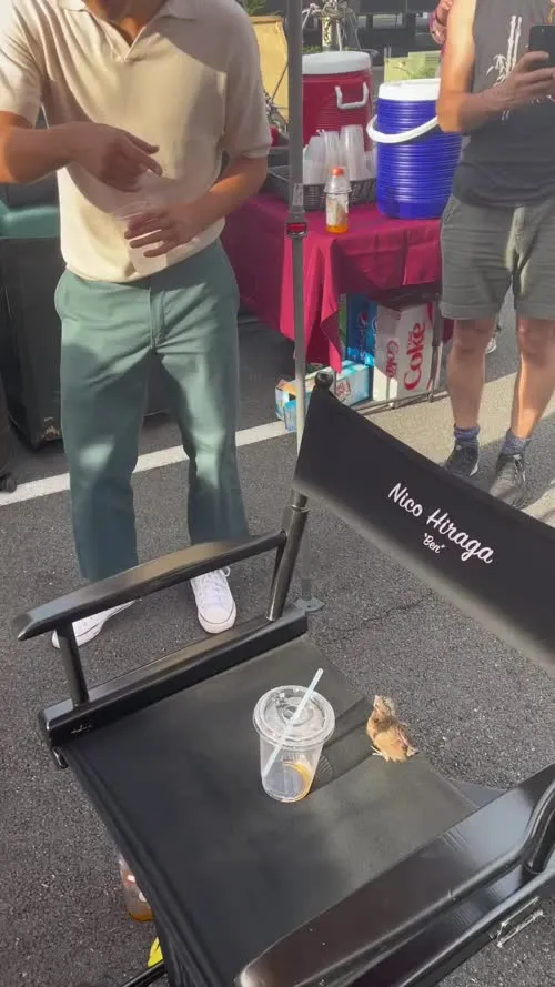Kiernan Shipka - Video #396558