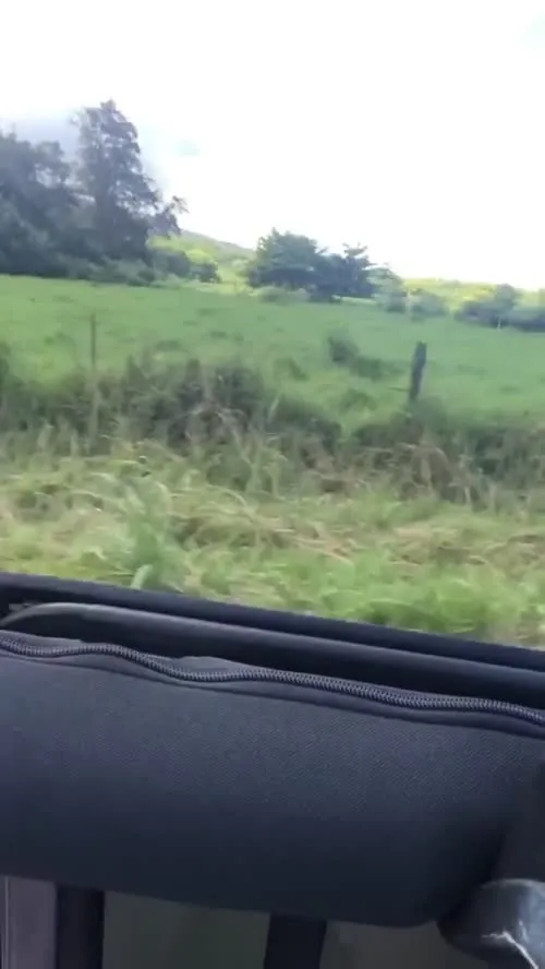 Kaitlyn Dever - Video