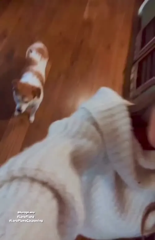 Olivia Holt - Video #118493