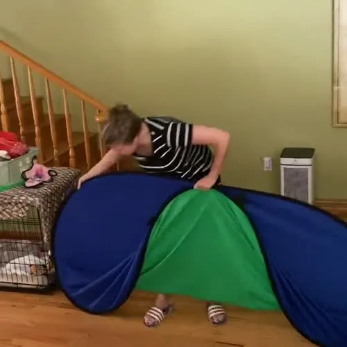 Jodie Sweetin - Video #119476