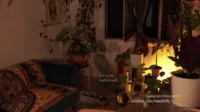 Effyloweell - Female chaturbate