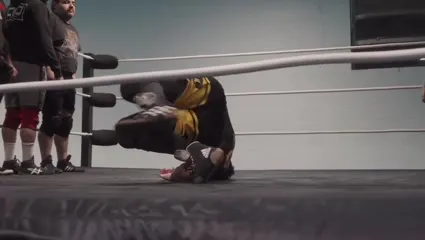 WWE Bayley / Davina Rose / Pamela Rose Martinez - Video