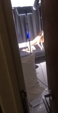 Stella Cox - Ella spying on me the other night