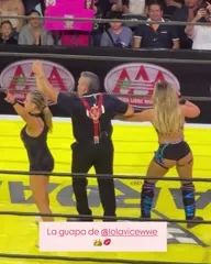 WWE Natalya Neidhart , The Boat - Video