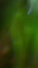 Emily Wickersham (NCIS) - Ew NCIS back vid 2