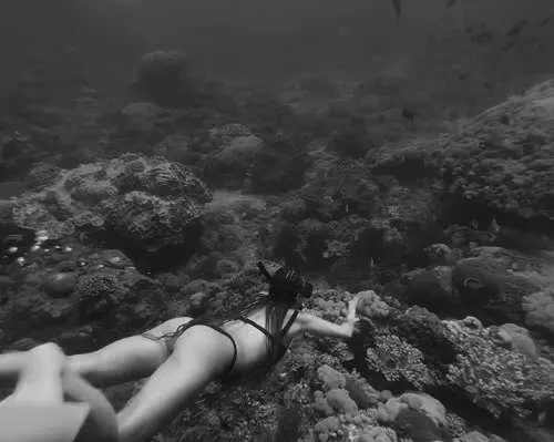 Paola Locatelli - Video #156103