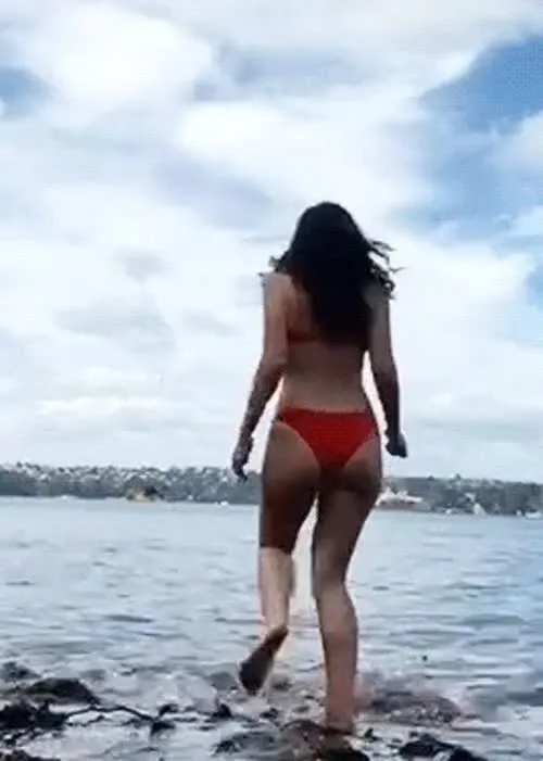 Lorde - Video #156923