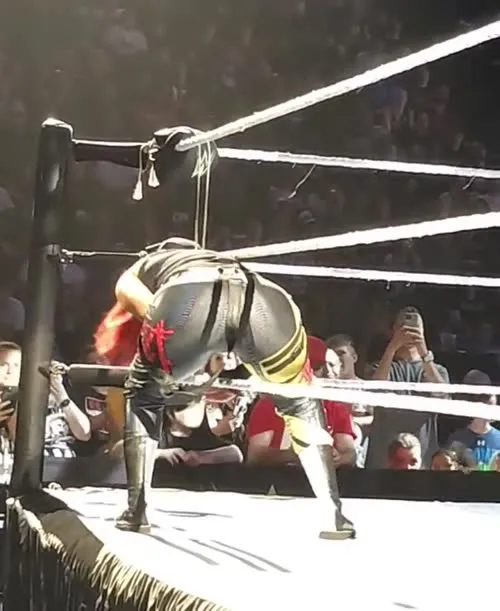 WWE Bayley / Davina Rose / Pamela Rose Martinez - Video