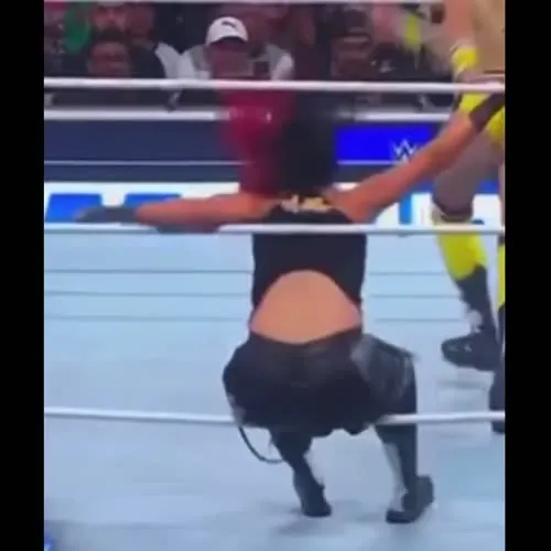 WWE Bayley / Davina Rose / Pamela Rose Martinez - Video #310959