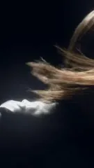 Sigrid/Sigrid Solbakk Raabe - Video #224405