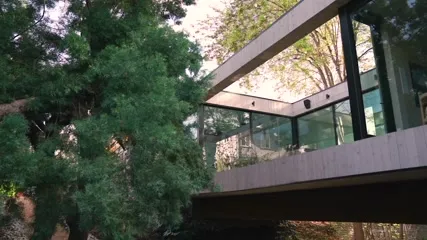 Alison Brie - Video #281073