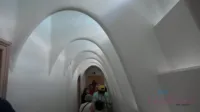 AtKingdom | AtkHairy | AtkExotics - Video