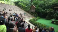 AtKingdom | AtkHairy | AtkExotics - Gia022atk 355720001