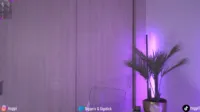 gigi_ulala - Chaturbate 20250717-181639 001