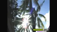 Minkaxxx - Hawaiiantour2000p1