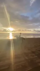 Gal Gadot - Video