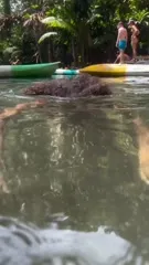 Zazie beetz - Video