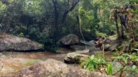 Hegre - Jade and Sein - Wild jungle sex