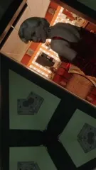 Taylor Swift - Video #418827