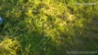 Britney Dutch - Video #102234