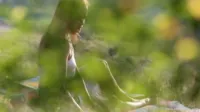Monica Sweet (Monica Nag) (Jo) - Jo spied