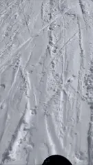 blue_eye_twinkle | lisa_milkis | blue_shine - Video #113003