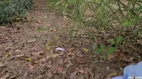 Emma_Anturin - Emma Anturin - Im camping exploring Emma Anturin's vagina