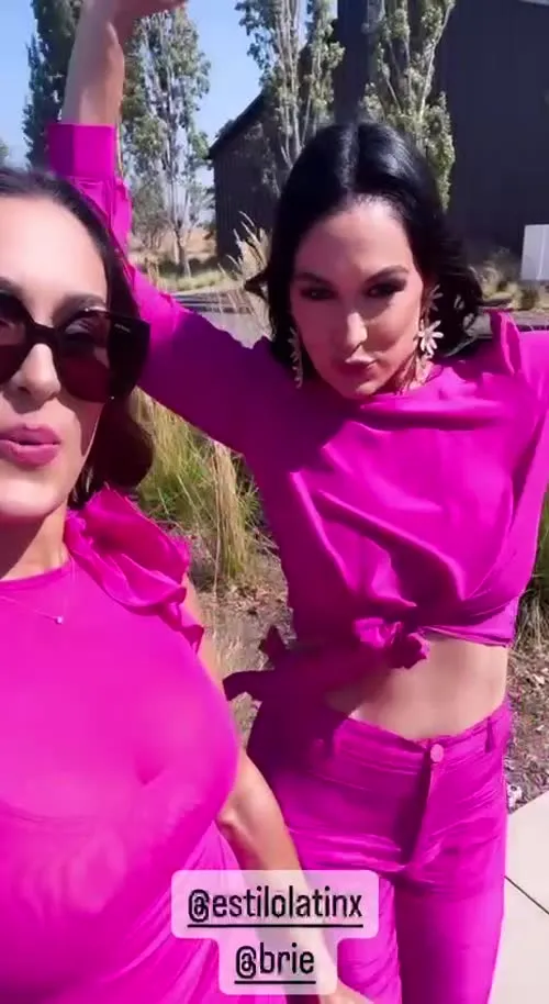 The Bella Twins: Nikki Bella & Brie Bella | Garcia Twins - IMG 2904
