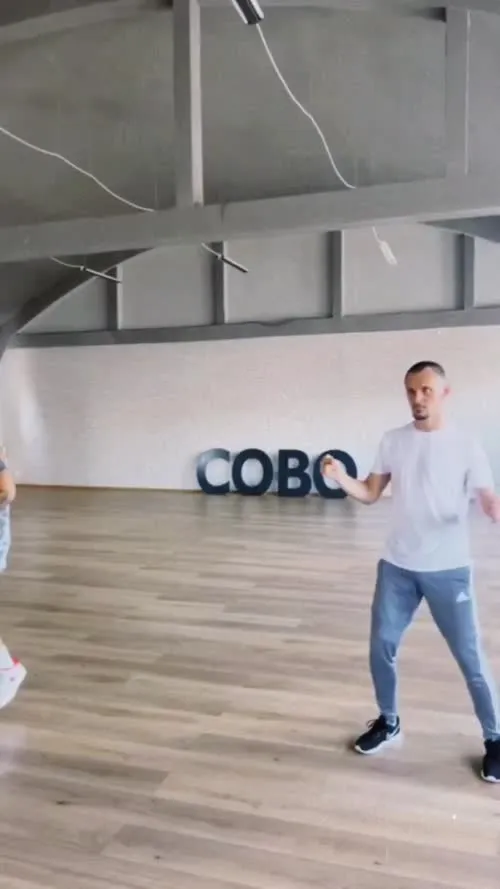 Alexandra Stan - Video