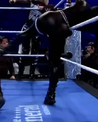 Roxanne Perez/Rok-C - WWE NXT - Inshot 20260130 130607098